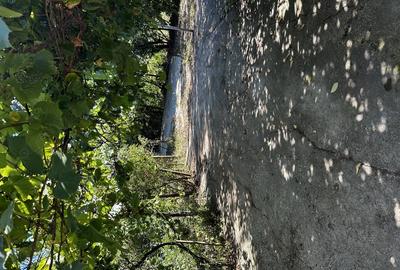 Casă cu 3 camere în Naipu - 1