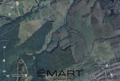 Teren agricol extravilan de 21000 mp, în Cisnădie - 2