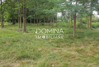 Teren Construcții intravilan de 6843 mp, în Polovragi - 8