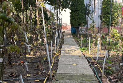 Casă individuală cu 3 camere cu Canalizare în Central - 19