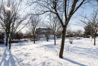 RECO . Casa in Cetariu - 21