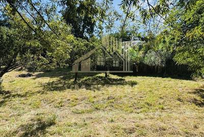 TEREN INTRAVILAN 3234 MP LERE?TI VOINE?TI ARGE? - 7