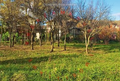 Manuel recomanda : cel mai frumos teren din Cornu - zona centrala - 5