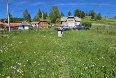 De vanzare Teren intravilan cu casa si anexe in Bucovina Moldova Sulita - 6