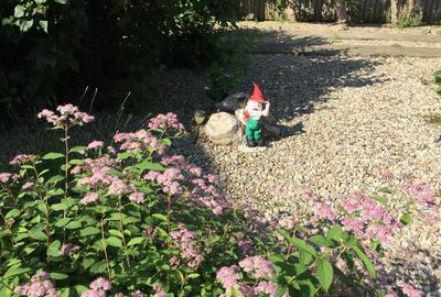 Casă individuală cu 7 camere cu Teren 1100 Mp în Clinceni - 5