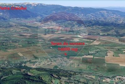 Teren agricol extravilan de 14800 mp, în Glăjărie - 4