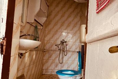 Vand casa traditionala autentica in sat Milostea, judet Valcea, perisaje frumoase, zona linistita - 9