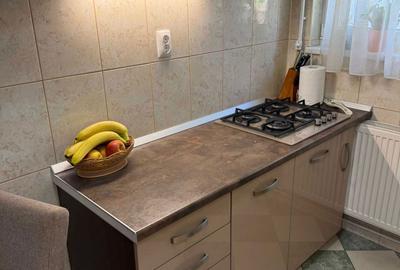 Apartament cu 2 camere decomandat în Mureșeni - 5