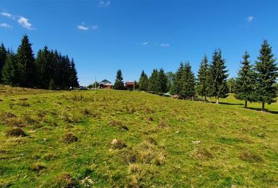 Teren Construcții de 1350 mp, în Beliș - 7