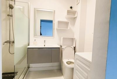 Drumul Taberei- Prelungirea Ghencea- La Gemulet - 11