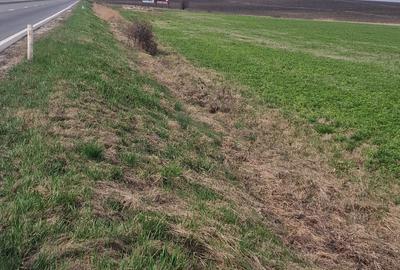 Spațiu comercial, în Copăceni - 3