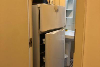 Garsoniera Piata Sfintii Voievozi - George Enescu - 6