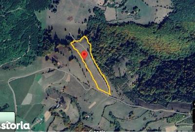 Teren de 20340 mp, în Crizbav - 6
