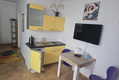 Studio in vila, zona Universitate - 5