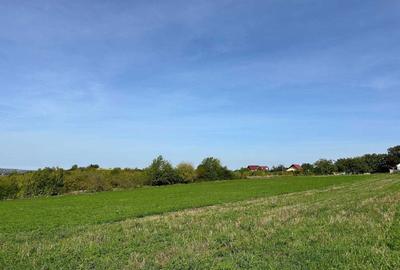 Teren de 4300 mp, în Adâncata - 3