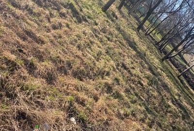 Teren Construcții intravilan de 2100 mp, în Feiurdeni - 7