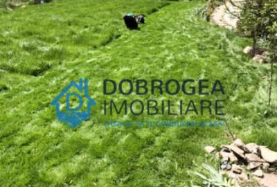 Vila Mineri, D+P+1, teren 1600 mp - 15