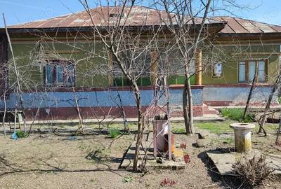 Vand Casa Singureni+curte