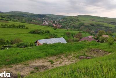 Teren de 2506 mp, în Baciu - 8