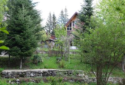 Vanzare 2 vile noi, mari superbe si 1905 mp teren la munte in Cheia Prahova - 13