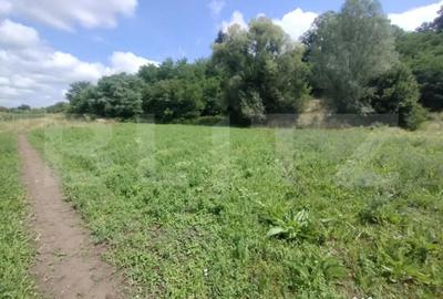 Teren de 850 mp, în Șintereag - 4