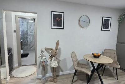 Apartament cu 2 camere decomandat, mobilat în Aviației - 12
