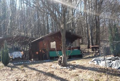 Teren Construcții intravilan de 1050 mp, în Pietrari (Păușești-Măglași) - 17