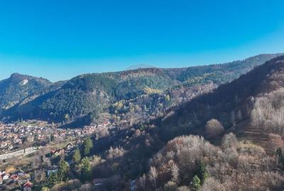 Teren Colinar Panoramic - 17.684 mp in Scheii Brasovului - 3