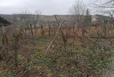 Casă cu 3 camere cu Garaj în Lipova - 4