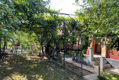 Casa de vanzare Ciumbrud Casa de vanzare Ciumbrud - 2