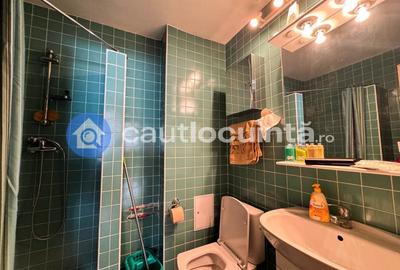 Apartament 3 Camere Vacaresti Tineretului Oraselul Copiilor Mihai Bravu - 9