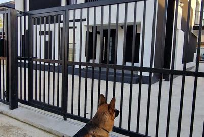 Casa individuala ultrafinisata si mobilata constructie moderna pentru pretentiosi !!! - 3