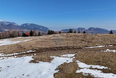 Teren agricol extravilan de 1924 mp, în Șirnea - 7