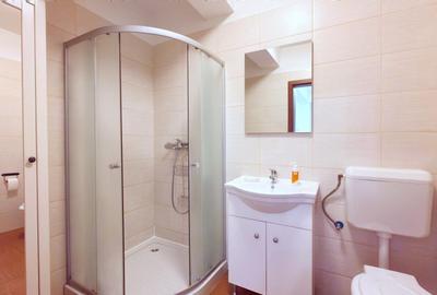 2 camere tip studio Pallady mobilat imobil 2020 metrou Teclu 15 min - 10