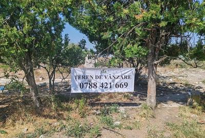 Teren de 9795 mp, în Rădoiești