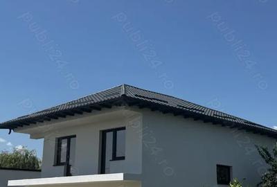 Casă cu 3 camere în Bradu - 1