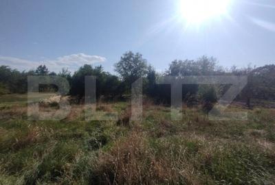 Casă cu 4 camere cu Teren 6700 Mp în Dorolea - 3