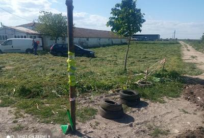 Topraisar langa Biosera Sofra teren 4649 mp cu hala 347 mp - 4