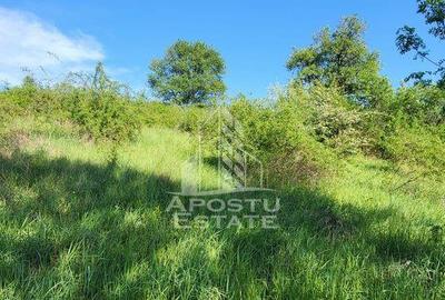 Teren de 2880 mp, în Cuied - 5