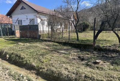 Casă cu 7 camere cu Teren 2650 Mp în Colțești - 1
