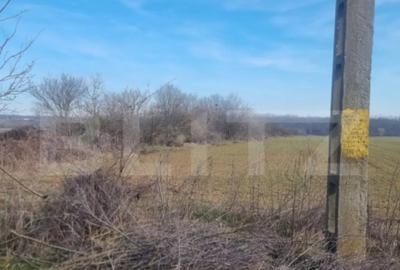 Teren în Lipănești