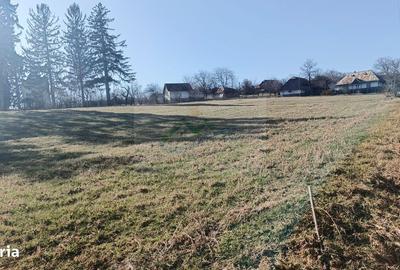 Teren de 4700 mp, în Brusturi - 3