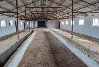 Spațiu comercial, de 484 mp, în Speriețeni - 1