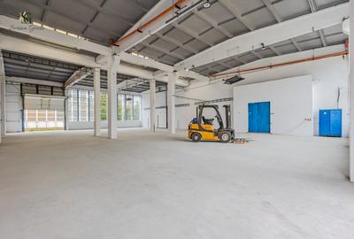 Hala indrustriala recent renovata - 3