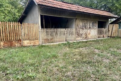 Casa la tara , Dambovita . - 6