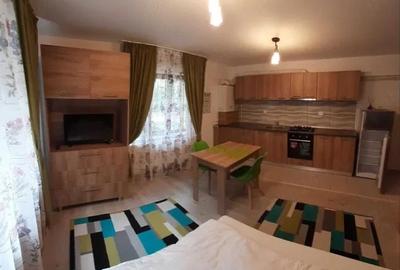 Garsonieră semidecomandată, mobilată în Nicolina - 1