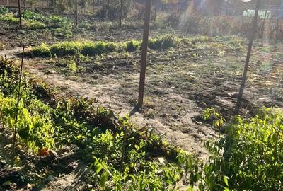 Casă cu 4 camere în Parța - 7