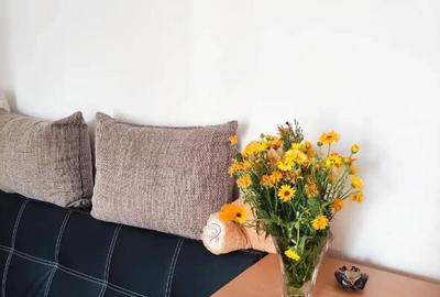 Apartament cu 2 camere decomandat, mobilat în Brâncoveanu - 5