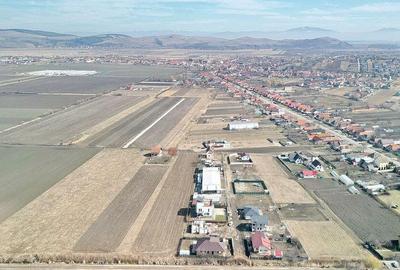 Teren Extravilan, P.U.Z. inceput - 7