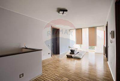 Casa moderna si spatioasa cu piscina,sauna si sala de fitness - Pecica - 29